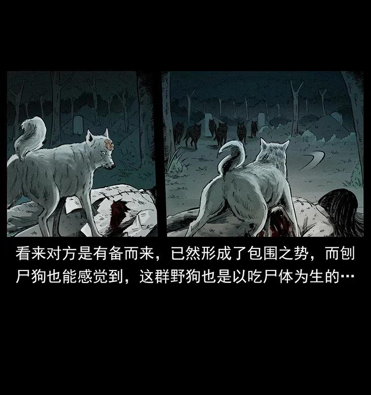 344 刨尸狗&amp;amp;amp;大冥皇6