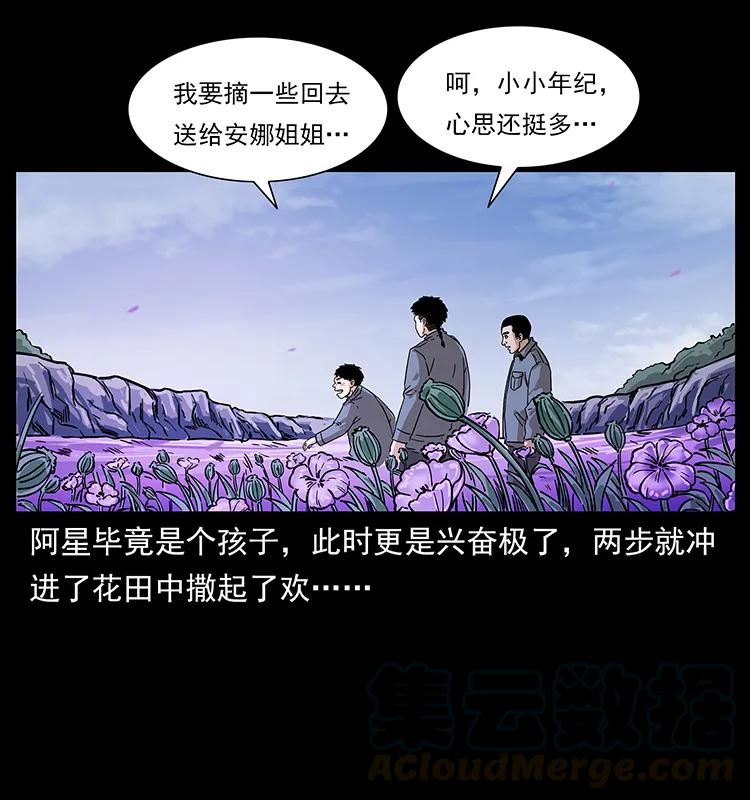 236 神秘的小岛40