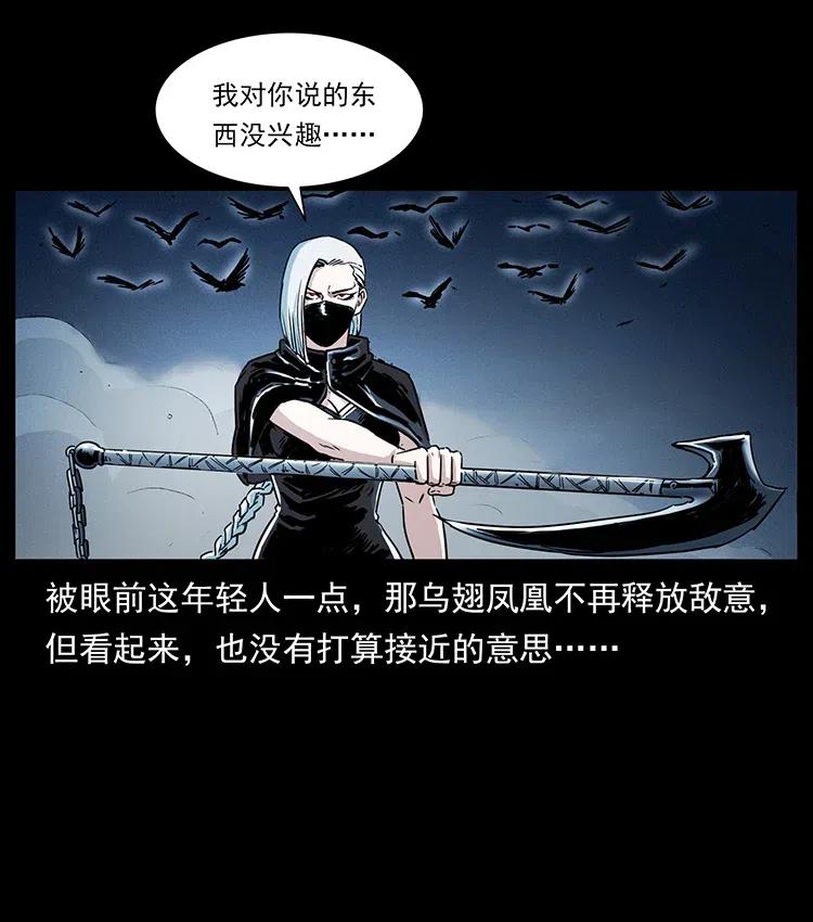 370 乌翅凤凰65