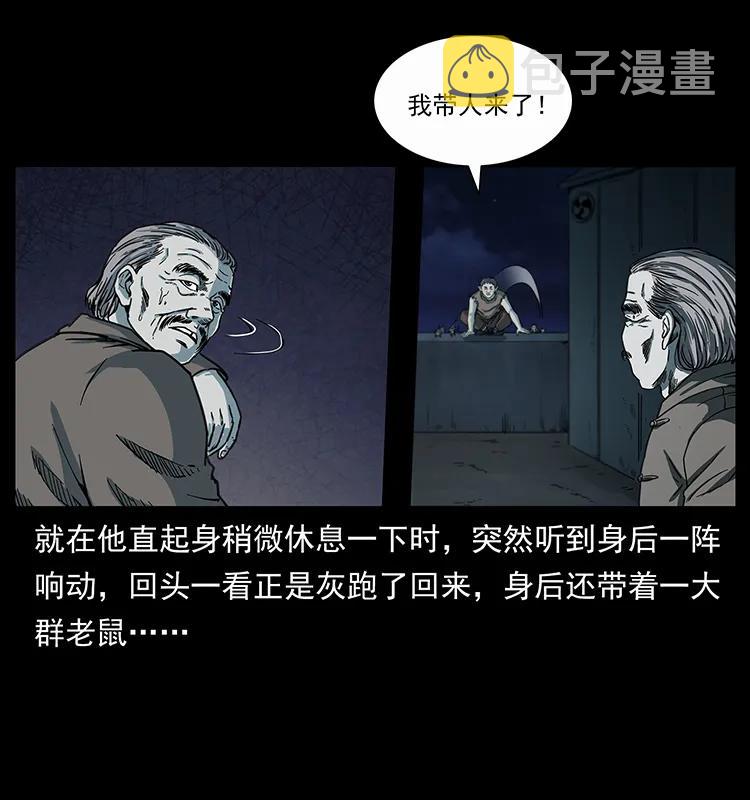 251 刨尸狗遇险3