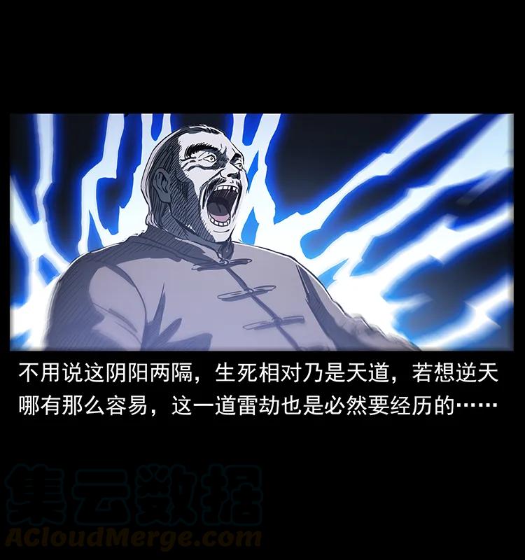 260 阴阳两世12