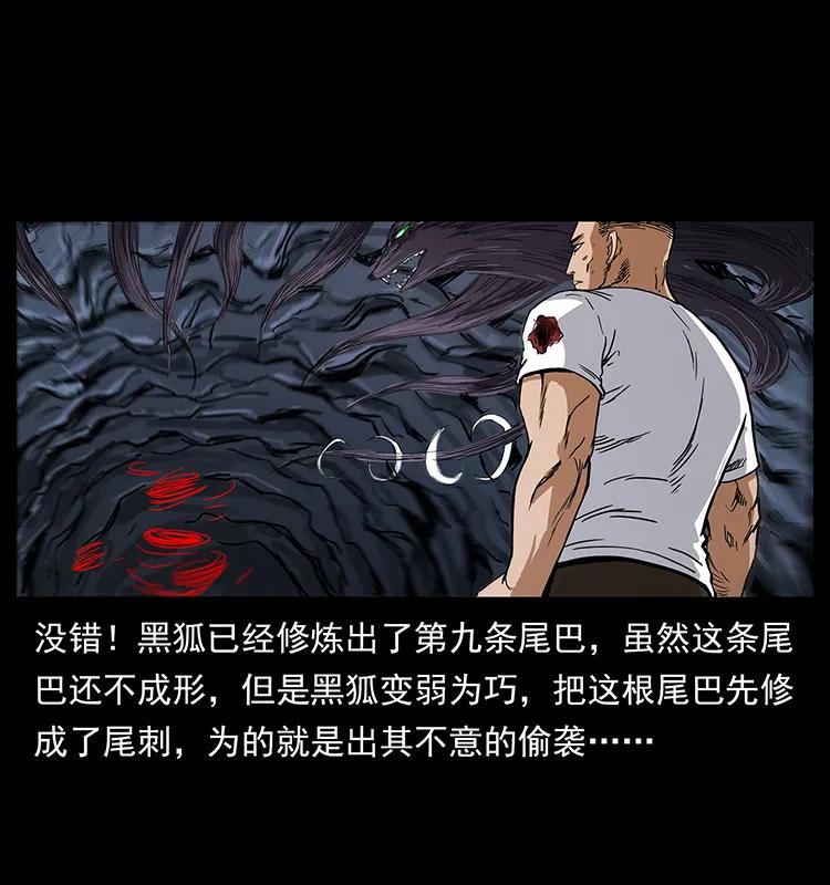 199 黑狐不好惹50