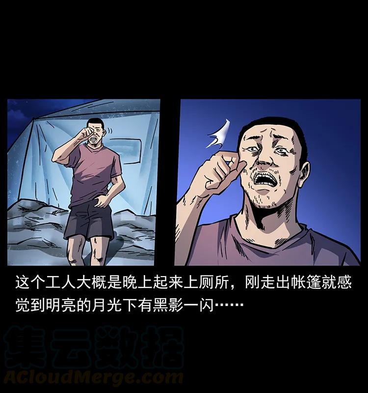 170 布局8