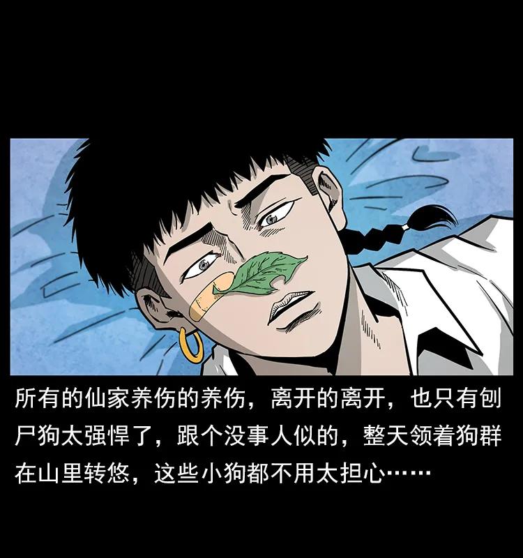 111 新的征程57