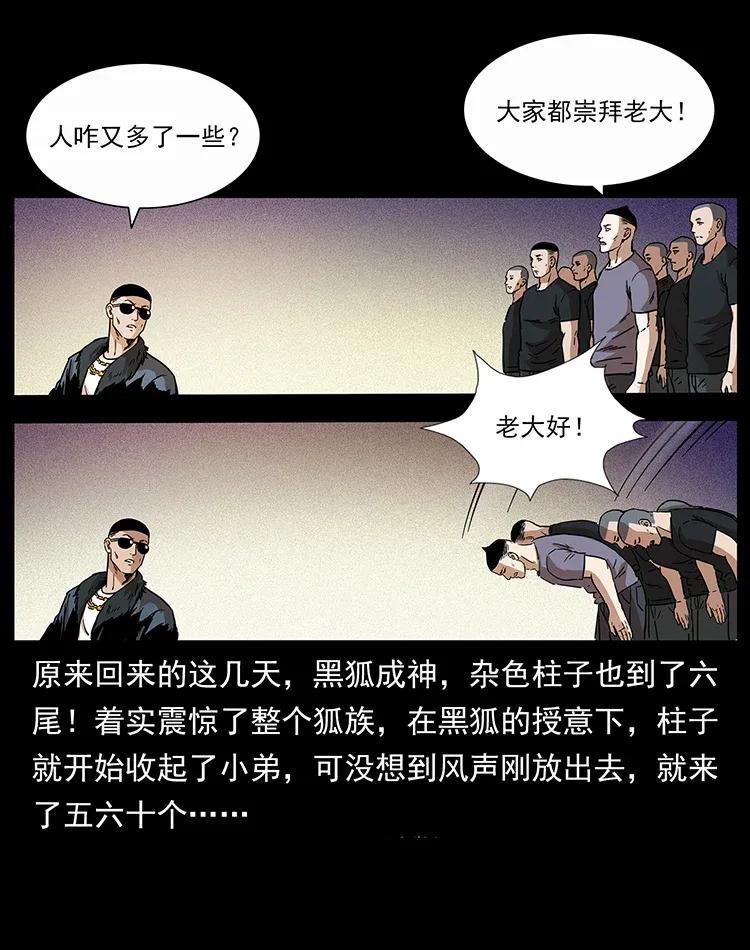 310 黑狐的神仙日子14
