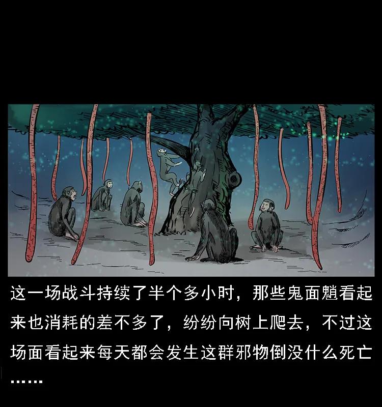 082 鬼桃树54