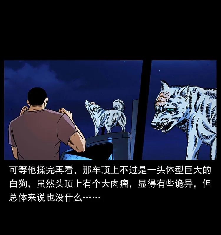 170 布局11