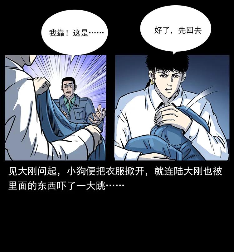 262 藏地神族43