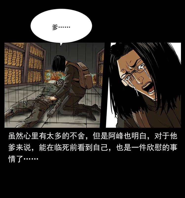 217 最可怕的危机33