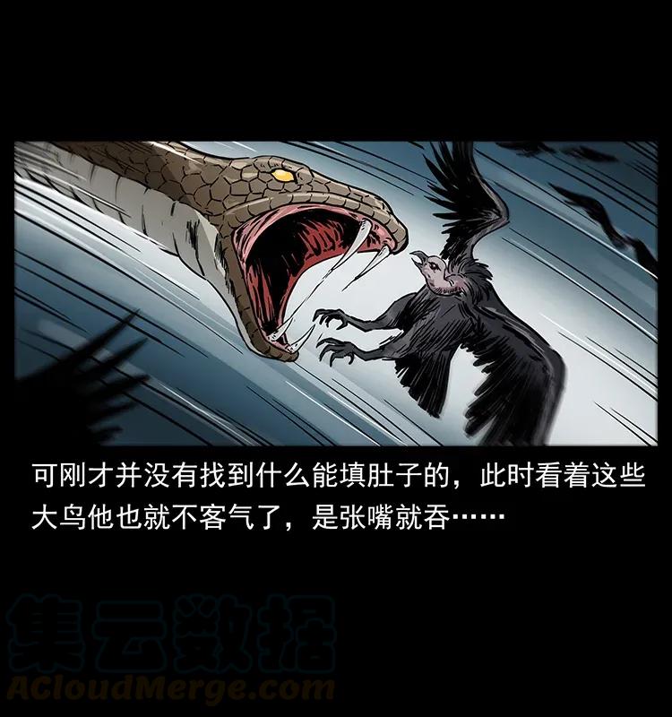 281 柱子归来！24