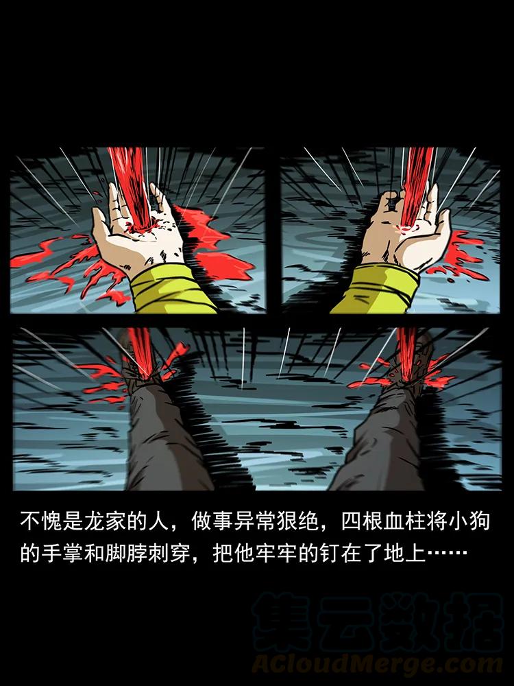 189 龙家的实力4