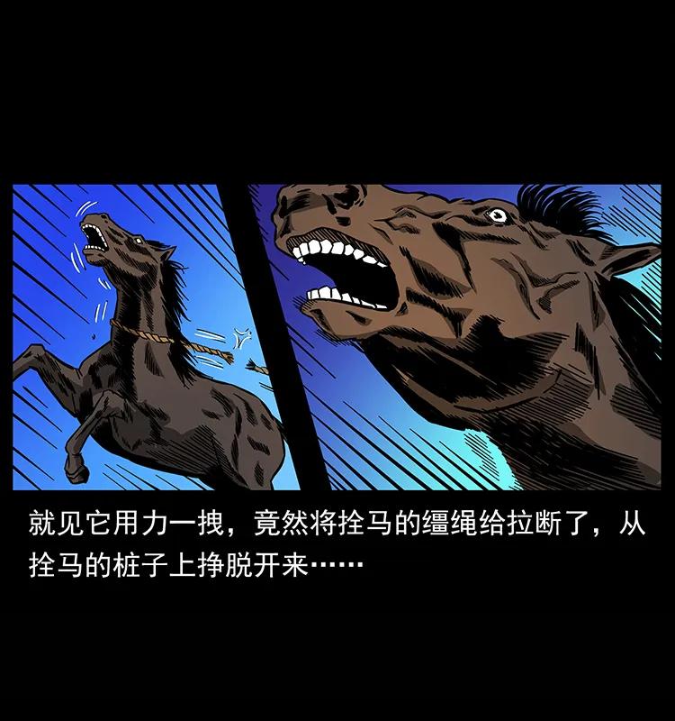 157 妖驹驮尸27