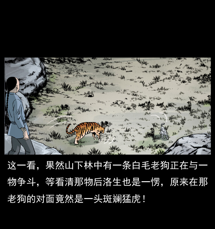 049 刨尸狗传奇223