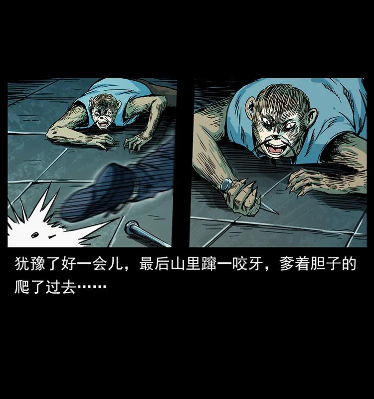 227 猴脑11