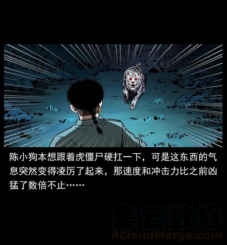 342 白毛僵尸32