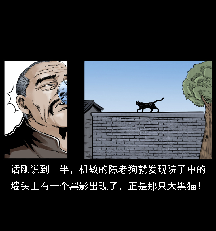 003 赵家的猫51