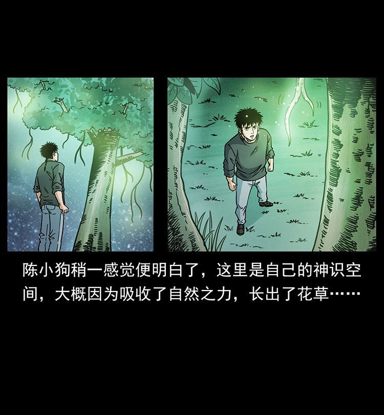 485 本核56