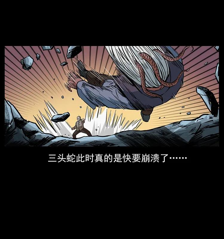 278 黑狐的危机！5