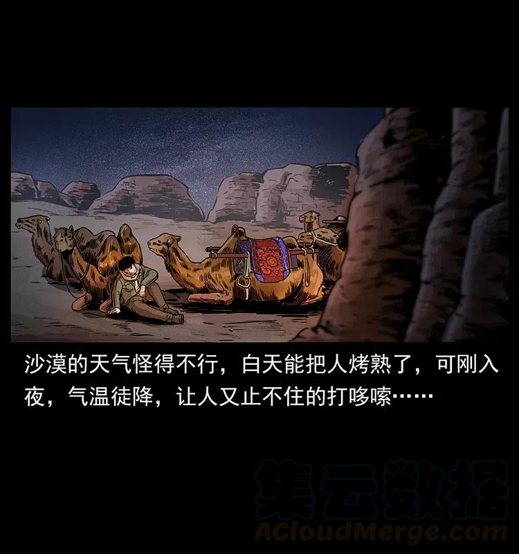318 沙漠秃鹰12