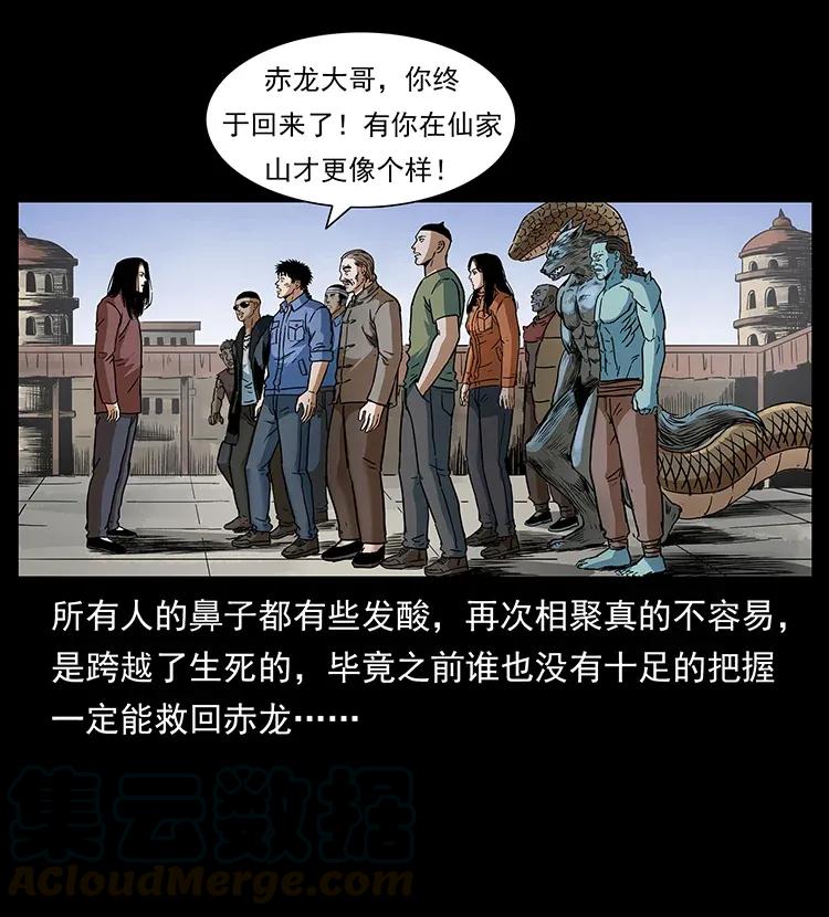 293 赤龙回归40