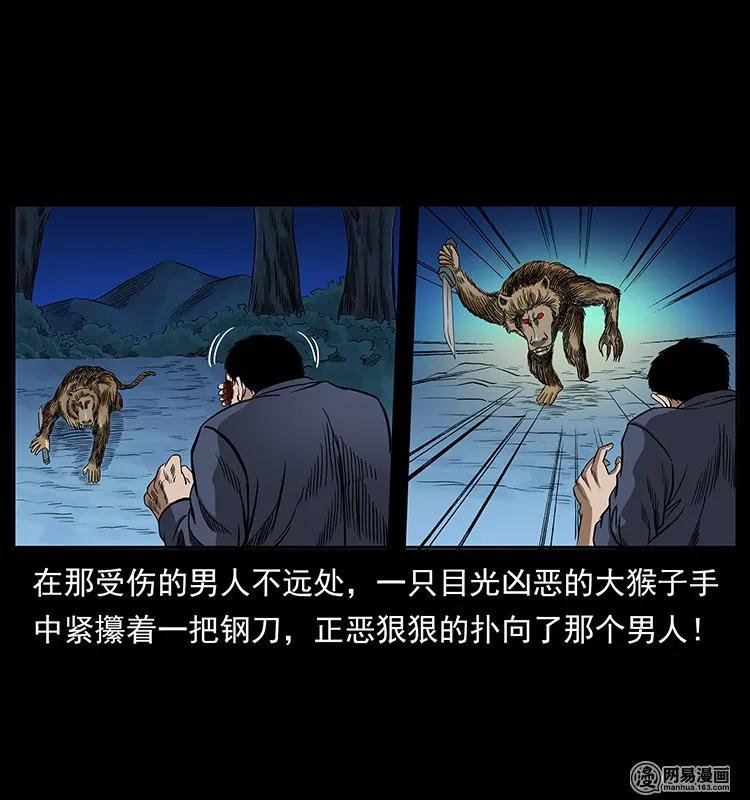 138 长白寻妖29