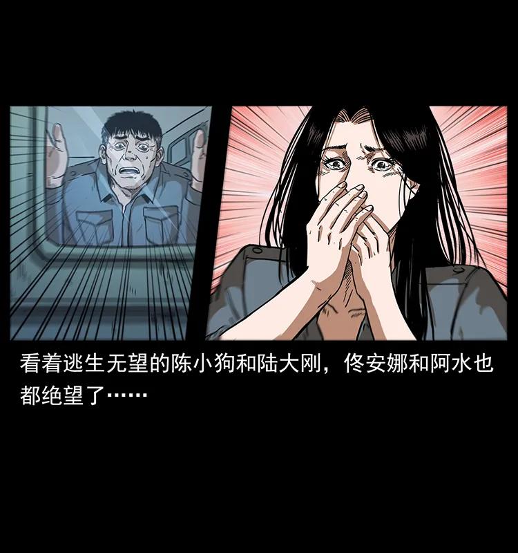 242 陈小狗失算了66