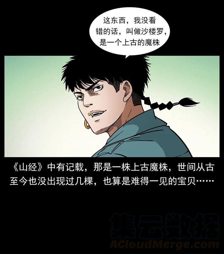 390 斩草除根57