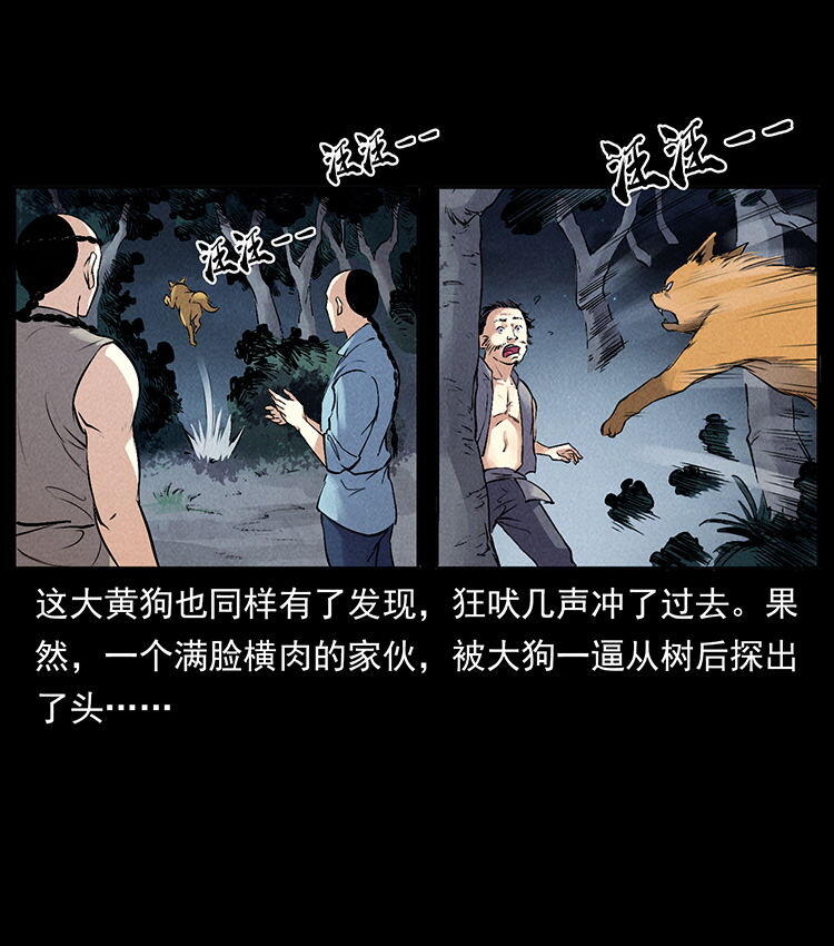 外传 洛生传3 剿匪18