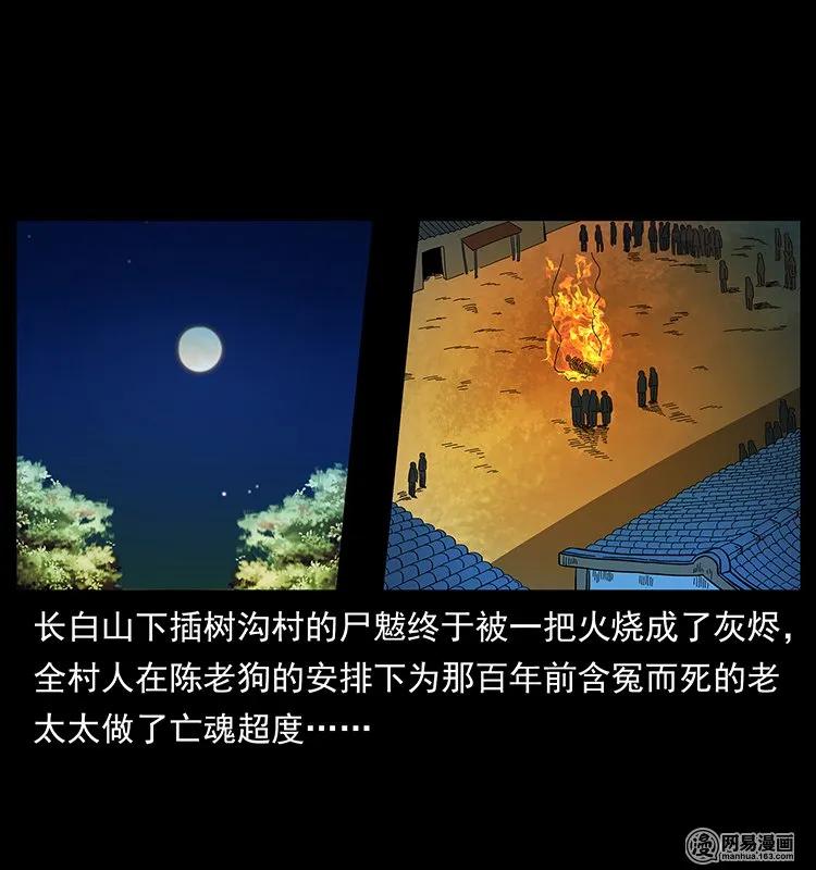 137 长白山毛脸怪1