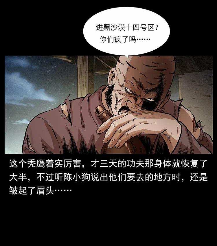 316 大漠归客81