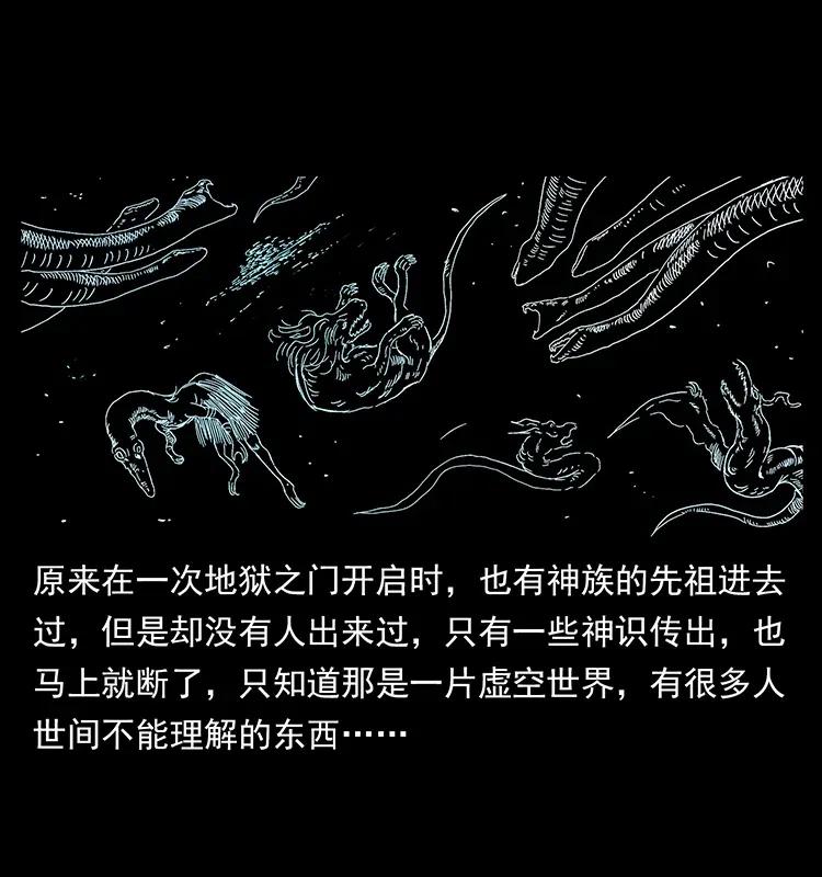 293 赤龙回归21