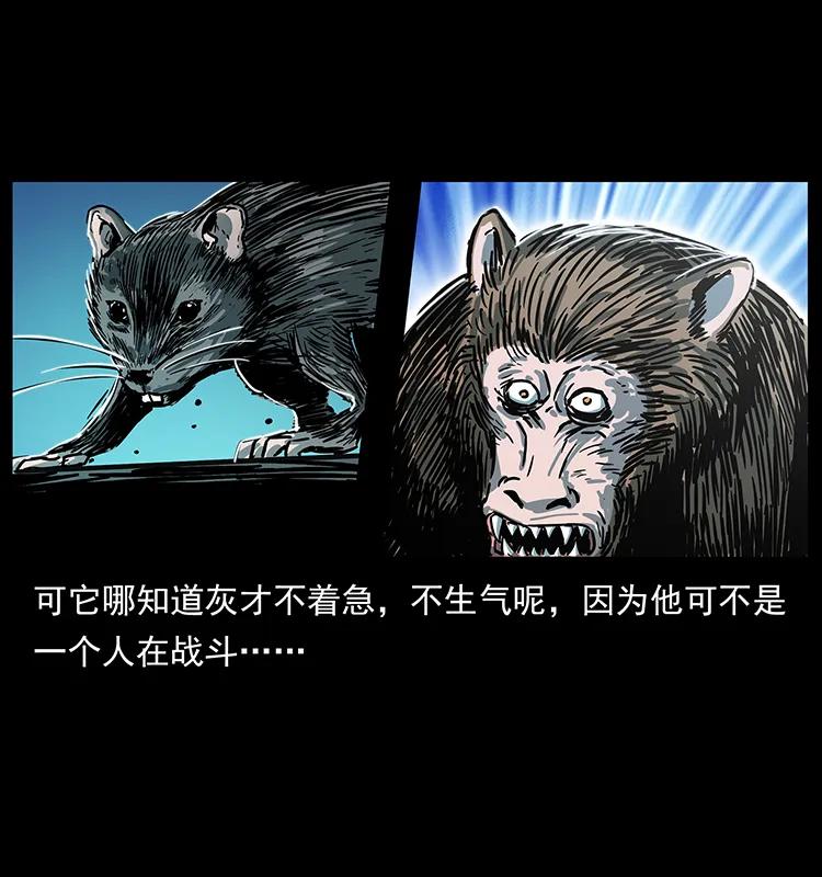 228 凶兽89