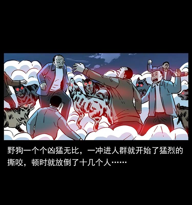 179 龙家的实力29