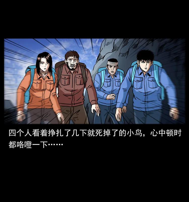 274 神族的计划43