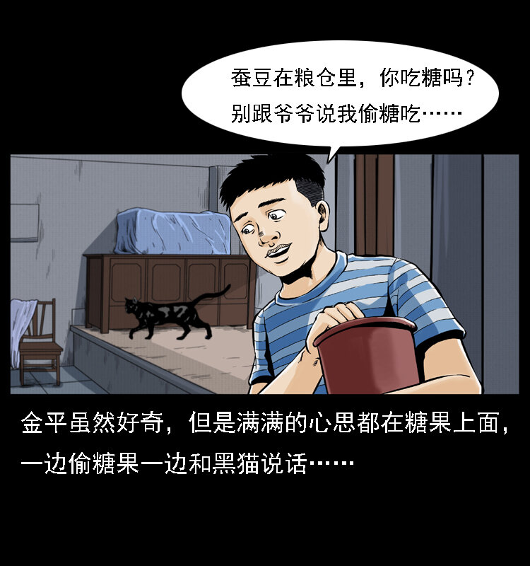 003 赵家的猫39