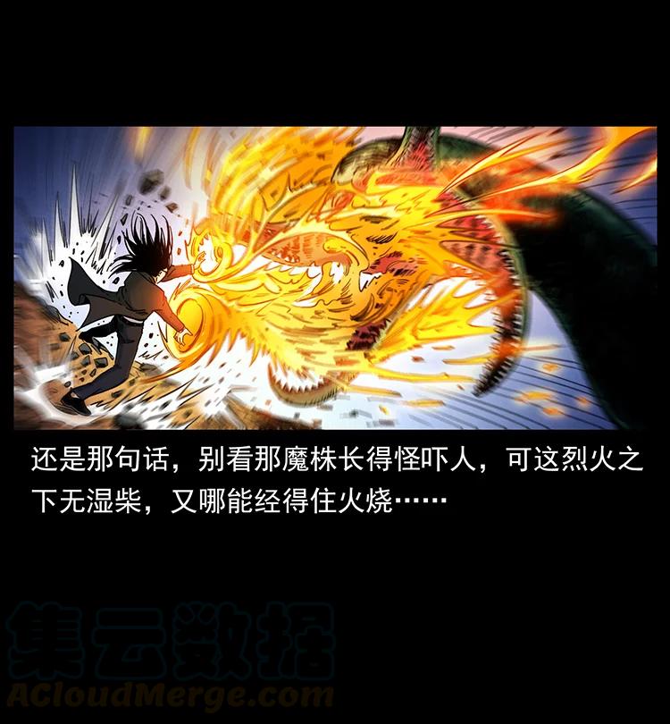 390 斩草除根48