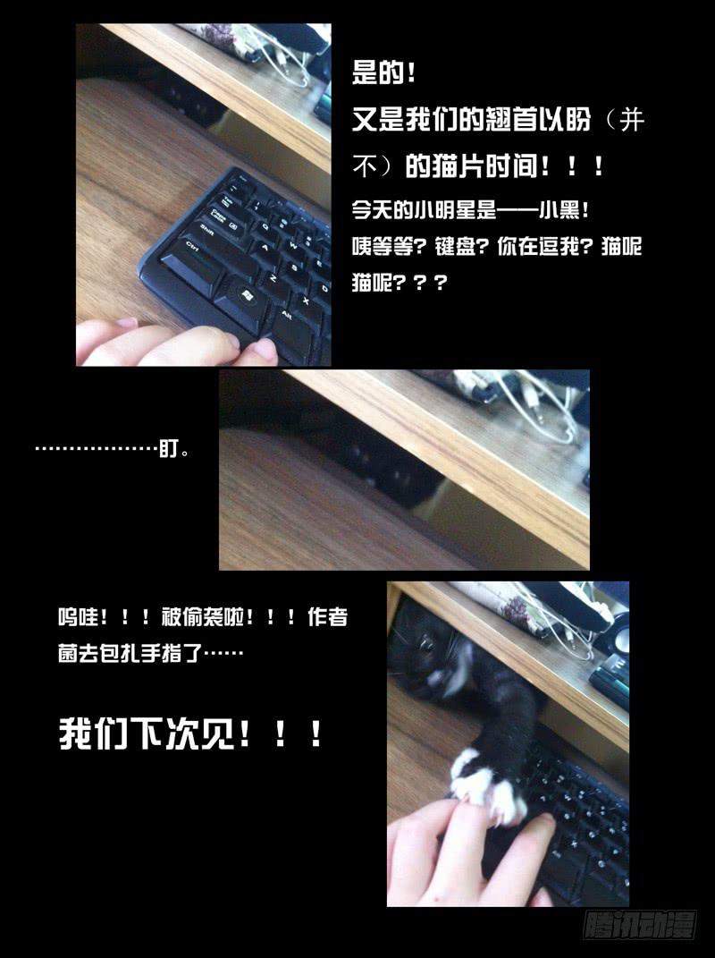 第十一章11
