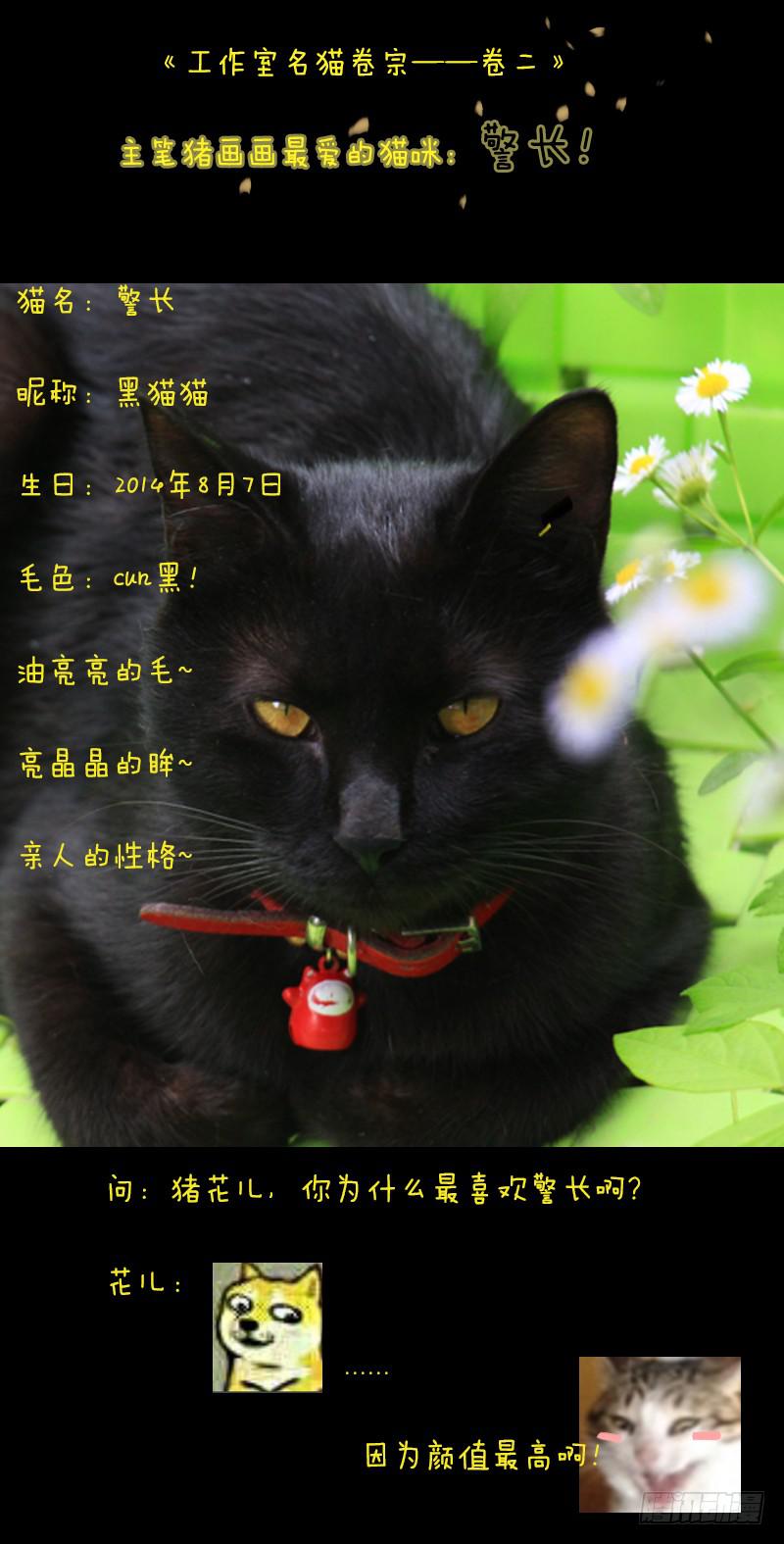 第九十四章11