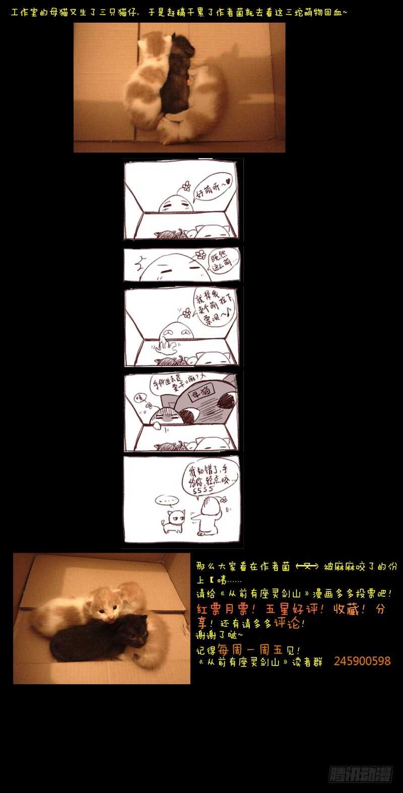 第五百七十七章11