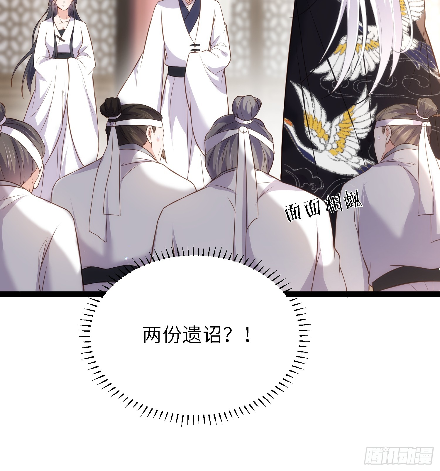第295话 两份遗诏24