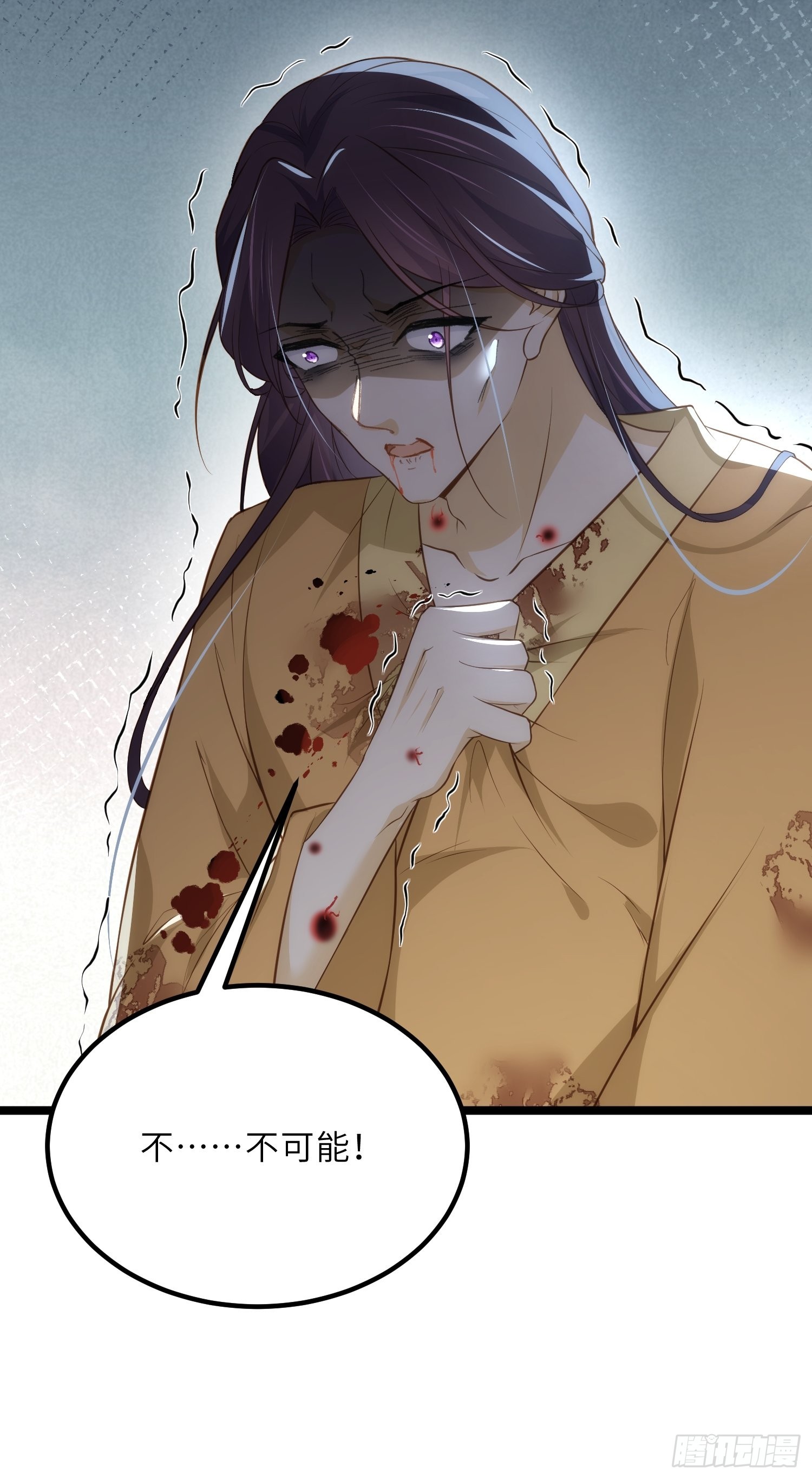 第287话 宣文帝之死17