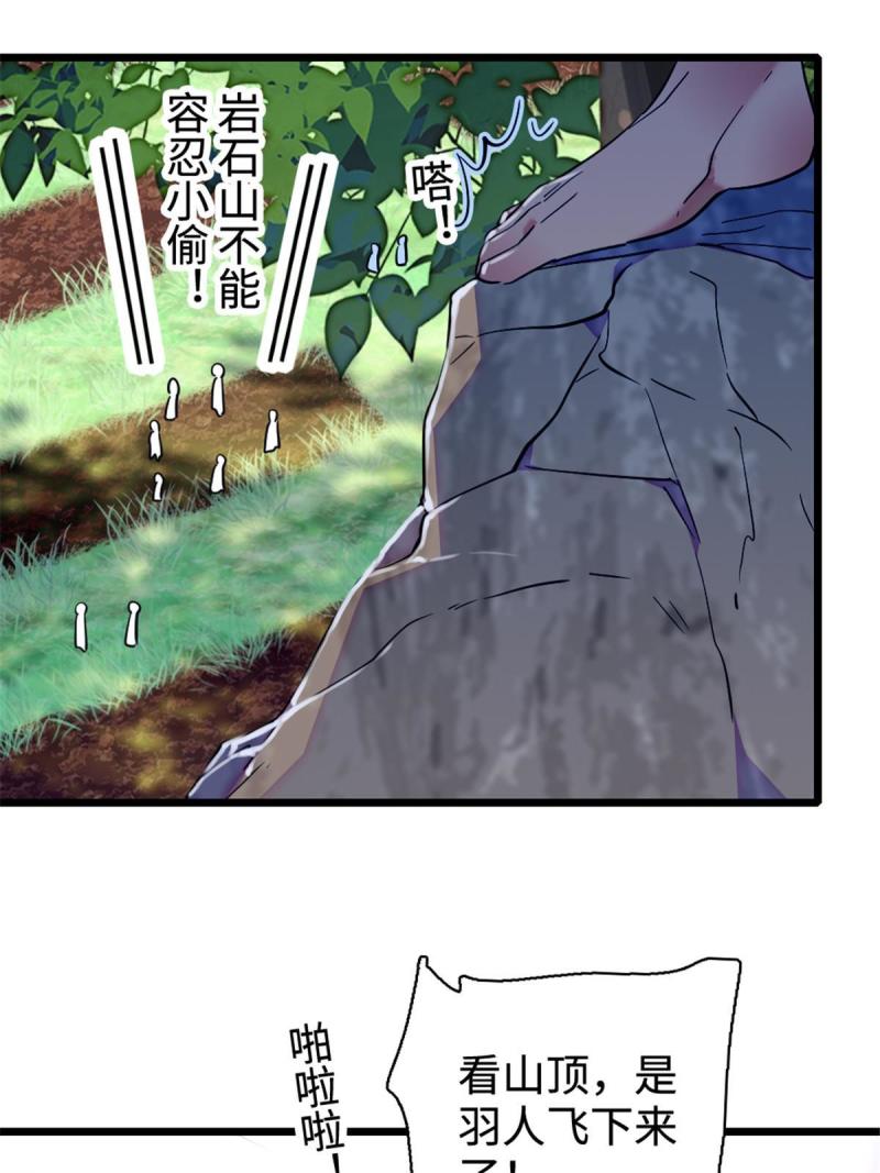 81 羽族出现44