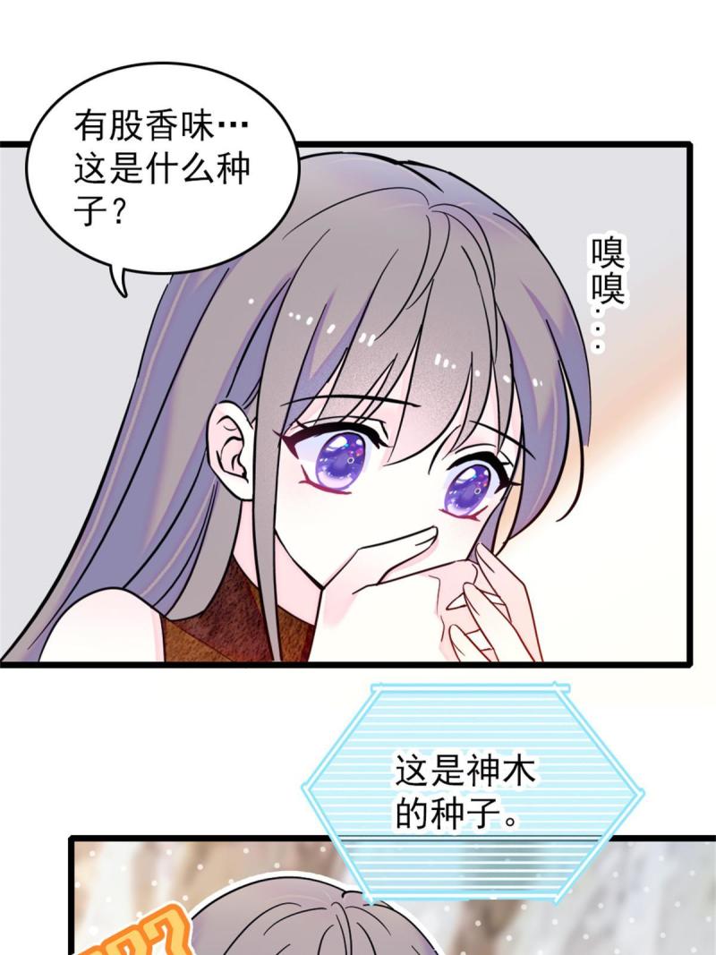 58 神木种子6