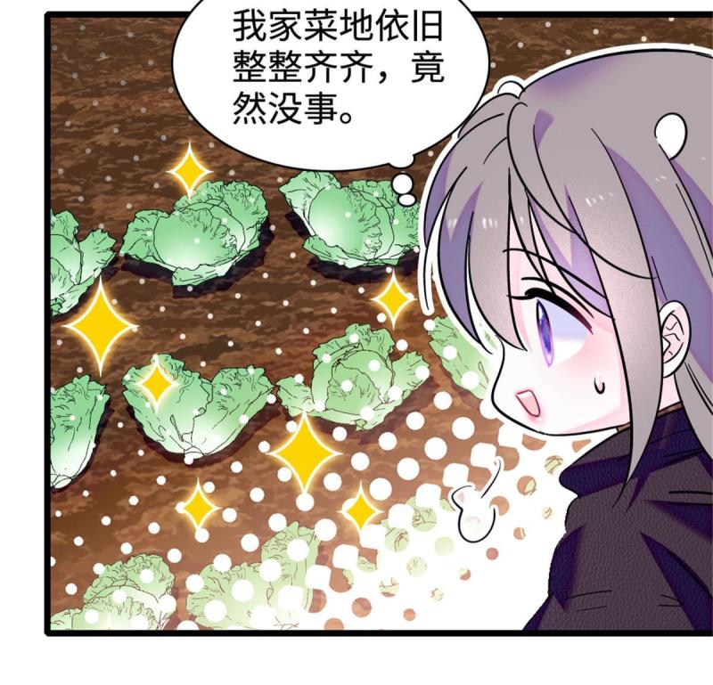 81 羽族出现39