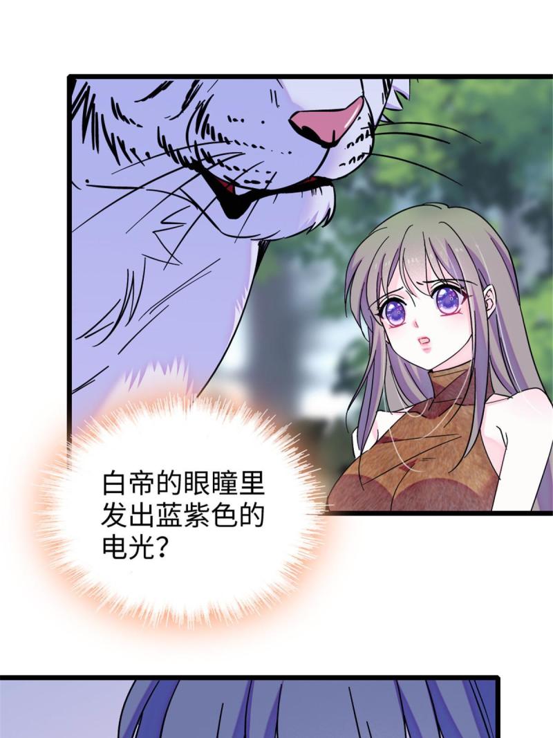 86 白帝VS血翎50