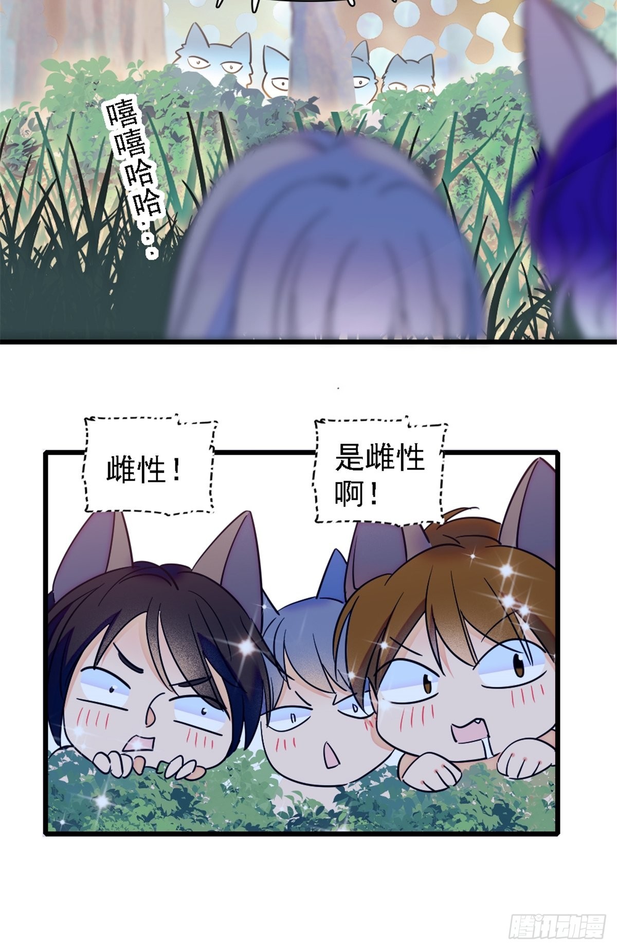 24 有趣的反应14