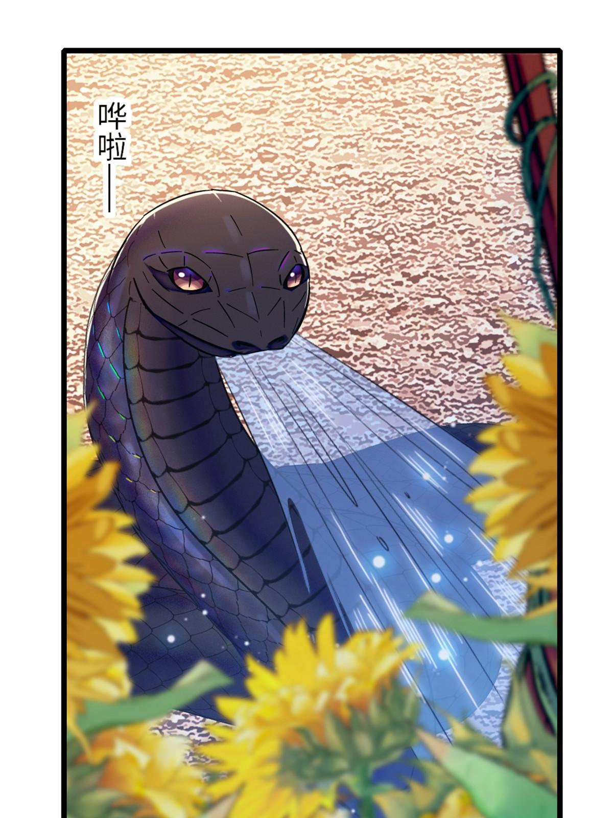 95 植物大战兽人46