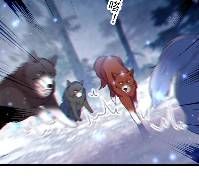 52 岩石狼族大危机22