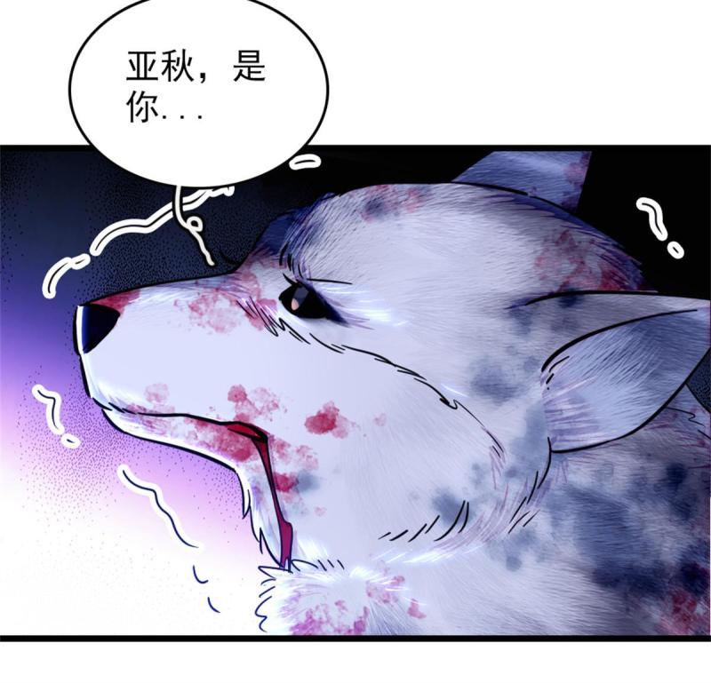 53 岩石狼族没有懦夫39