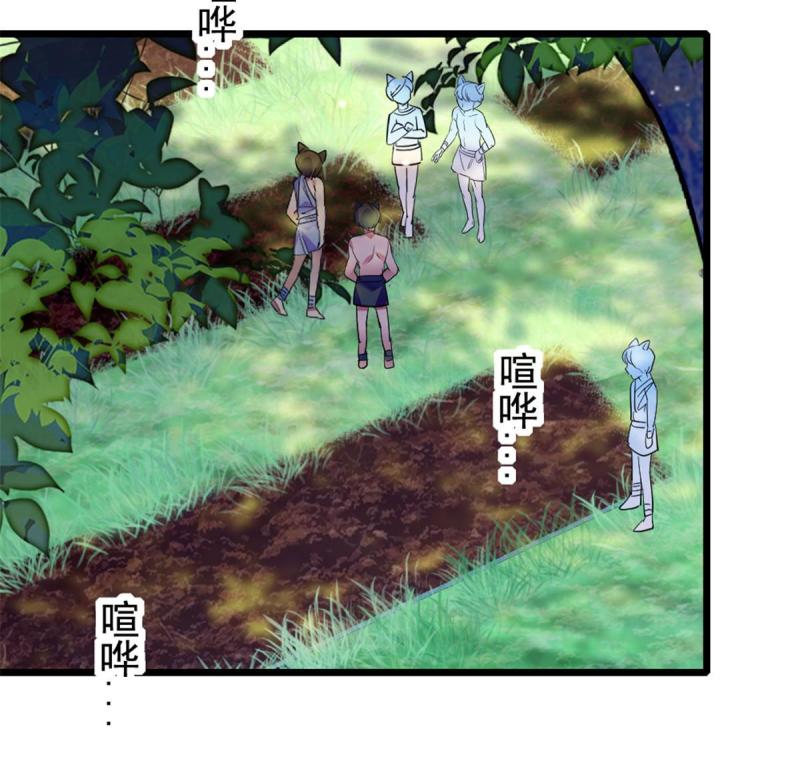 81 羽族出现35